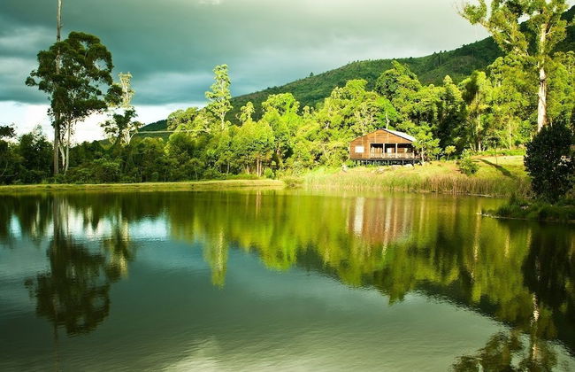 Magoebaskloof Getaway - Foto 20