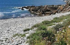 Maison jardin bord de mer Bretagne authentique - Foto 29