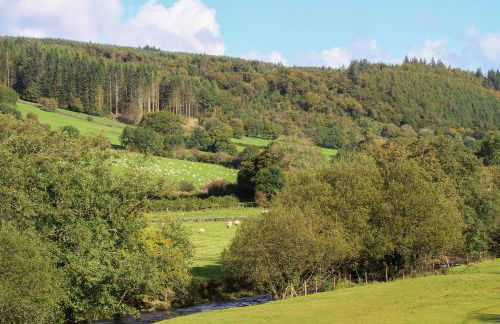 2 Cae Glas - Foto 37