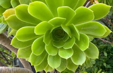 Villa Annunziata Luxe - Foto 59