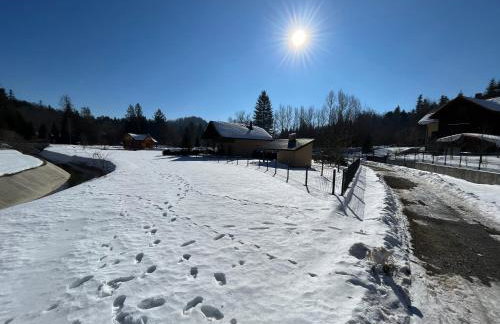 Forest Fairy - Foto 5