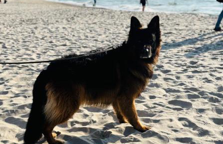 Apartamenty nad morzem Przy Klifie 2 Dębina - Foto 64