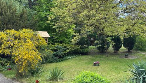 Agroturystyka Staroscin - Foto 5