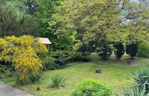 Agroturystyka Staroscin - Foto 5