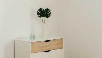 Quinta das Laranjeiras - Foto 4