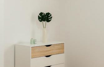 Quinta das Laranjeiras - Foto 4