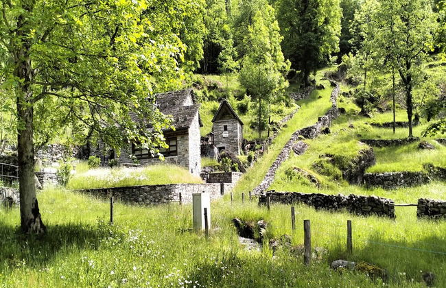 Residenza La Serenata - Foto 12