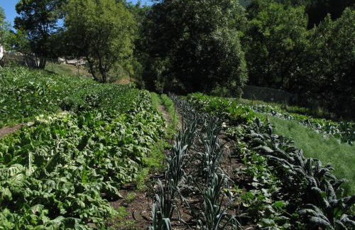 Agriturismo Barba Gust - Foto 46