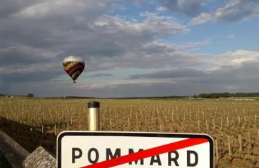 Coeur de Pommard - Foto 38