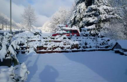 Ferienhaus Rosemarie - Foto 19