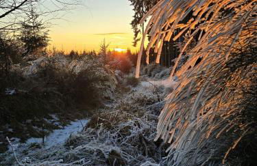 Hunsrücker Tiny Ferien L - Foto 47