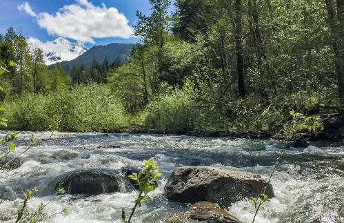 A-Frame of Mind Retreat - Meredith Lodging - Foto 17