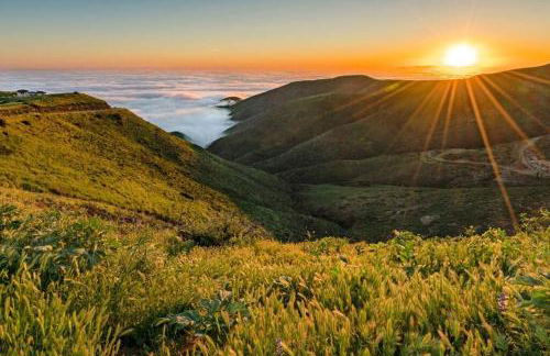 GREAT VIEWS - Over the Oaks - Stylish - Whole Home - Foto 19