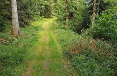 Le petit Kichon - Foto 20