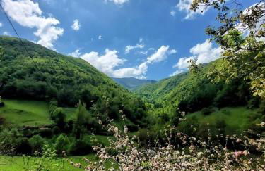 Casa Nayala - Foto 63