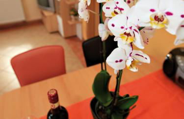 Schölzke‘s Ferienhaus - Photo 3