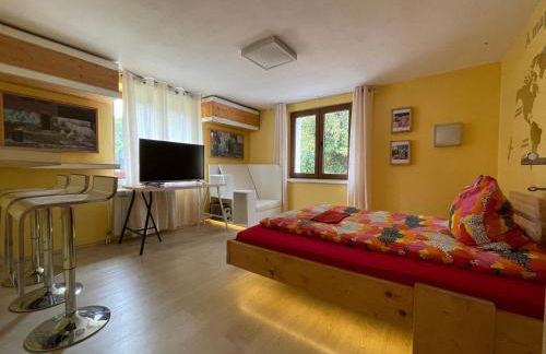 Direkt am Main - Foto 31