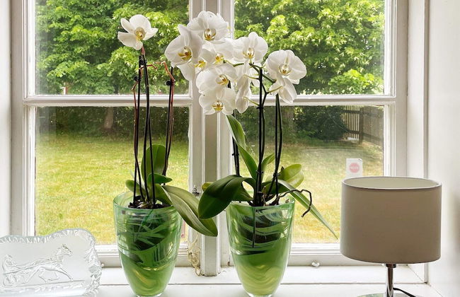 Holiday Home in Lekeryd Near Beach - Foto 14