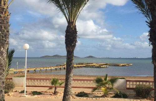 Estrella de Mar - Foto 2