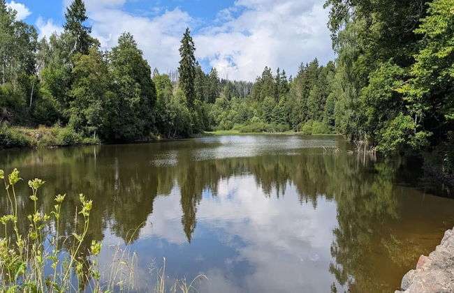 Ferienhaus in Wieda mit Garten - Foto 30