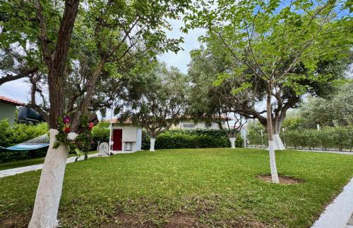 Olive TreeHouse - Foto 24