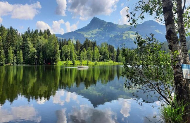 Forest Family Stay, Triberg - Foto 39