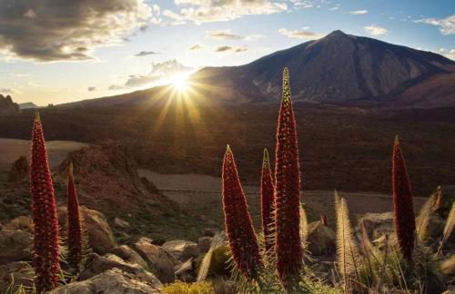 EDEN RENTALS Oasis Penthouse in Santa Cruz - Foto 43