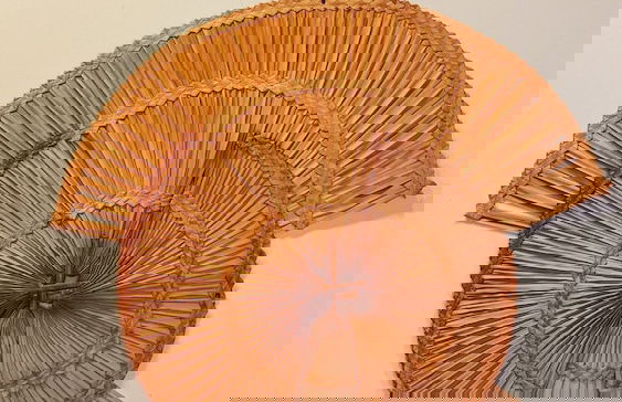 Cabana Gameleira - Foto 48