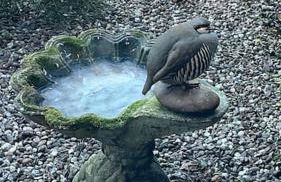 Beckbury Guesthouse - Foto 19