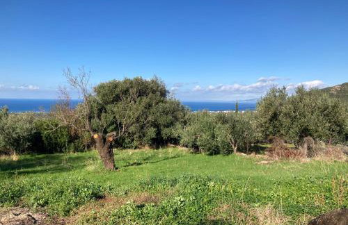 Ferienhaus Gecko - Foto 27