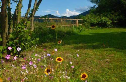 Dom Geologa - Foto 53