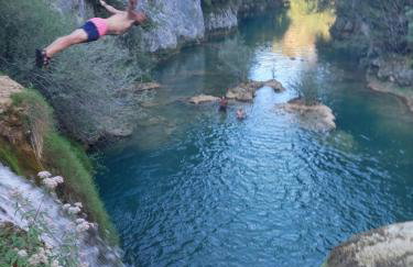 Forest Paradise - Foto 51