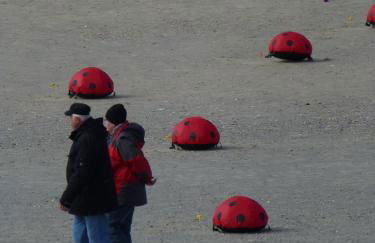Wohnung Hafenblick, Haus Seeadler Baltrum - Foto 17