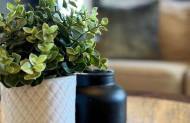 Chandler Studio Apartments - Foto 18