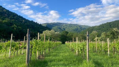 Casa del Grivò - Alloggio Luna - Foto 3
