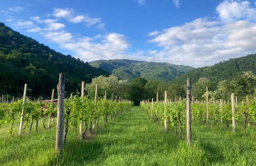 Casa del Grivò - Alloggio Luna - Foto 3