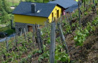 La Cabana´l Cachican - Foto 79