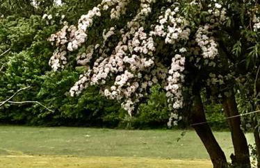 The BeeKeepers - Homely Luxurious Self Catering - Foto 68