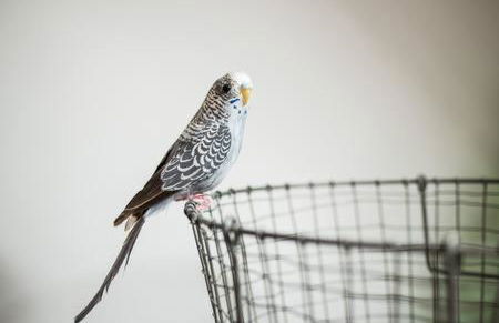 Providence Cottage a Sussex boutique retreat for two - Foto 8