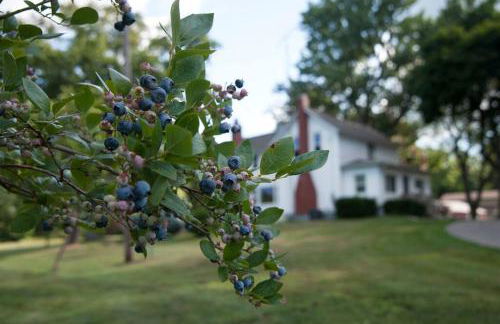 Blue Vieira Cottage - Foto 36