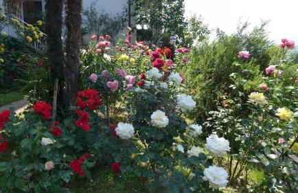 Appartement Trafoier - Foto 23