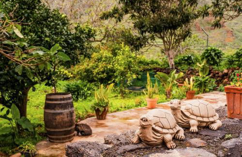 Live Buenavista El Palmar - Foto 44