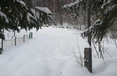 Domek Za Skałą - Foto 29