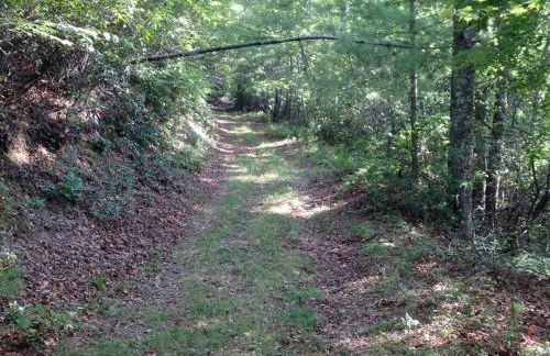 Nantahala Spiritual Retreat - Remote and Peaceful! - Foto 45