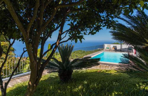 OurMadeira - Casa Florenças - Photo 27