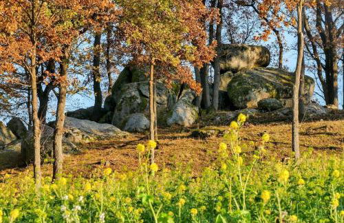 FeWo - Im SCHWARZACHTAL - Foto 25