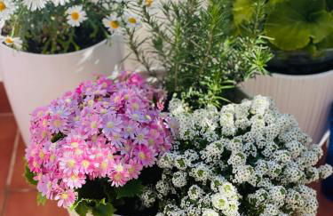 Costa del Sol Marina - Foto 55