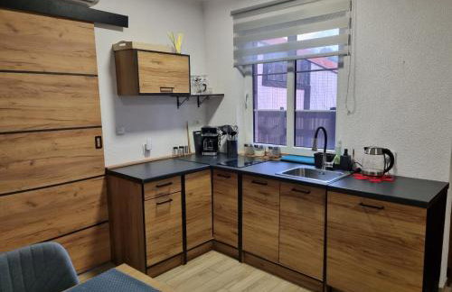 Apartament Nova Kamienica 1 - Foto 8