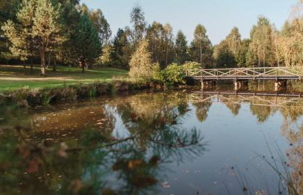 Koronkowa Chata - Foto 5