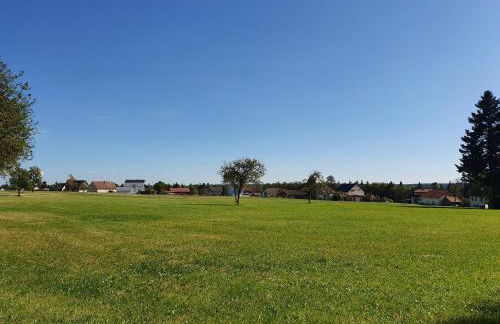 Chickenhill Blackforest, große Ferienwohnung im Schwarzwald - Foto 29